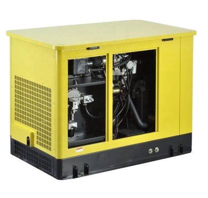 20KW LPG Natural Gas Gasoline Generator with Electric Starting and 380V Rated Voltage