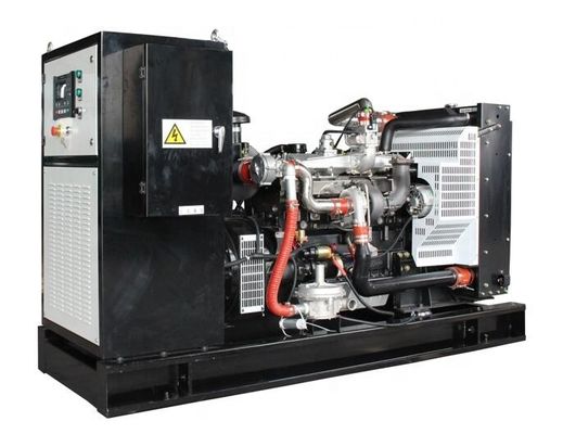 CE/ISO9001 Approved 1MW 10kW 15kW 20kW 220V Micro Turbine Generator for CHP Natural Gas