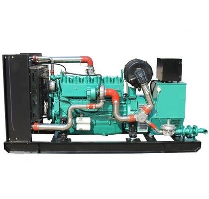 16kw 20kw 30kw Electric Genset for Biogas and Natural Gas Powered by Ricardo Engine