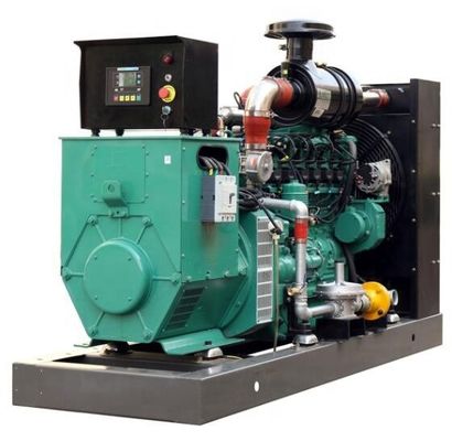 16kw 20kw 30kw Electric Genset for Biogas and Natural Gas Powered by Ricardo Engine