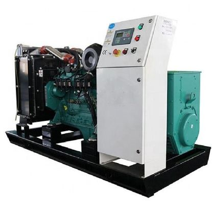 16kw 20kw 30kw Electric Genset for Biogas and Natural Gas Powered by Ricardo Engine