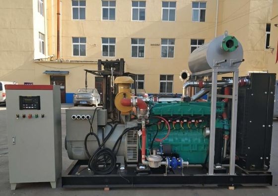16kw 20kw 30kw Electric Genset for Biogas and Natural Gas Powered by Ricardo Engine