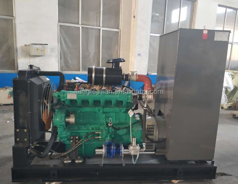 1500/1800rpm Speed 20kw Silent LNG CNG Electric Natural Gas Engine Power Generator Set